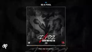 SD X Will A Fool - Nosebleed